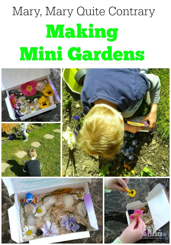 Making Mary Mary Quite Contrary Mini Gardens