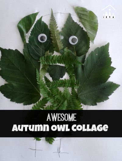 Autumn Owl Leaf Collage