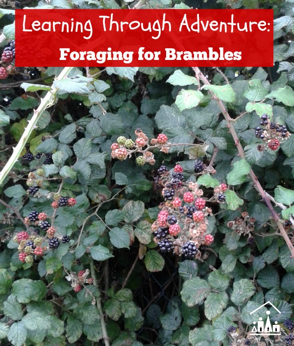learning through adventure foraging for brambles 600