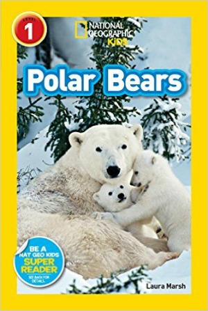 polar bear book for kids 1