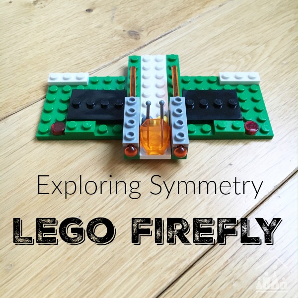 exploring symmetry lego firefly 