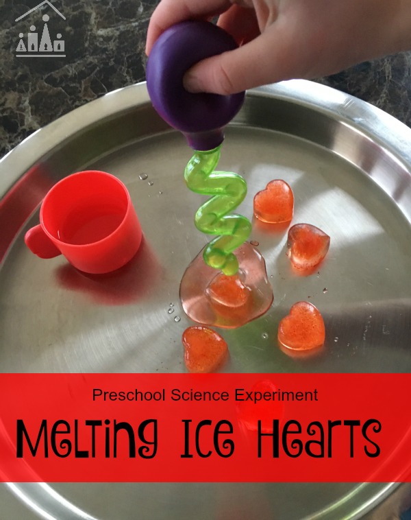 melting ice hearts preschool science experiment 