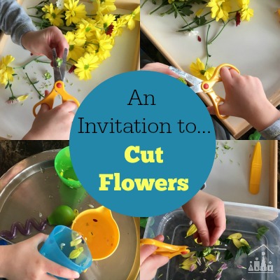 Practising Preschool Cutting Skills on Flowers Water