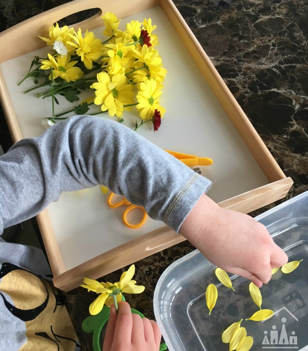 Practising Preschool Cutting Skills on Flowers