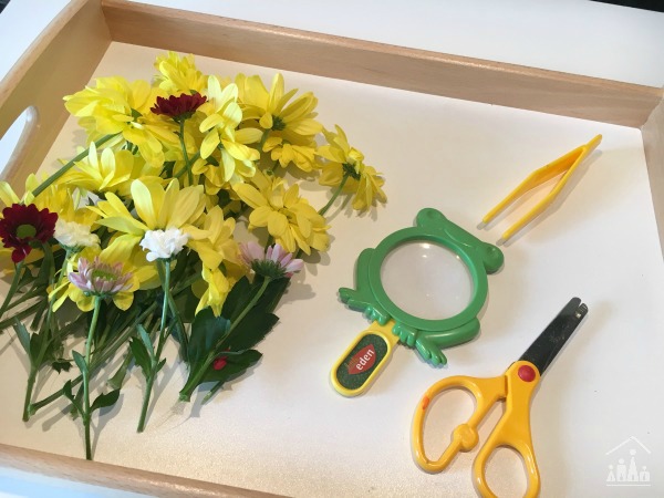 Set up for Practising Preschool Cutting Skills on Flowers