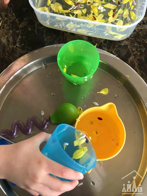 Practising Preschool Cutting Skills on Flowers Water Play