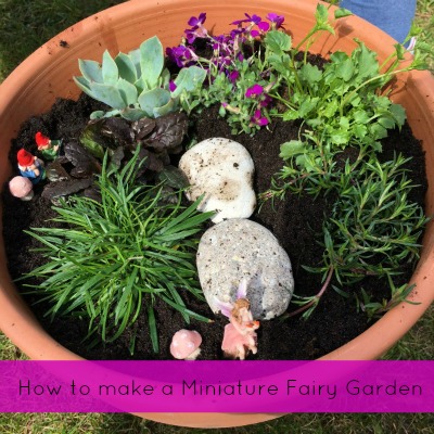 How to make a miniature fairy garden How to make a miniature fairy garden
