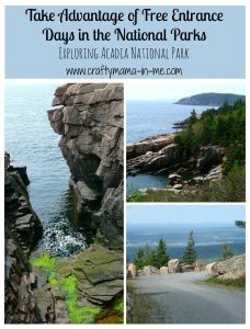 Outdoor Activities for Kids Visiting National Parks