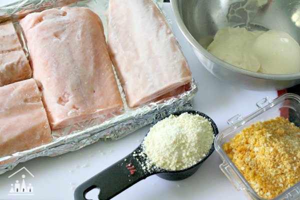 Parmesan Baked Fish Fillets Ingredients 