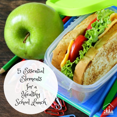 5 essential elements for a healthy school lunch box