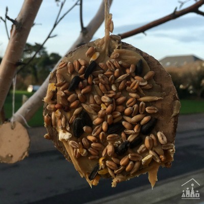 DIY Bird Seed Baubles for Kids to Make this Winter.