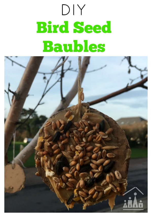 DIY Bird Seed Baubles